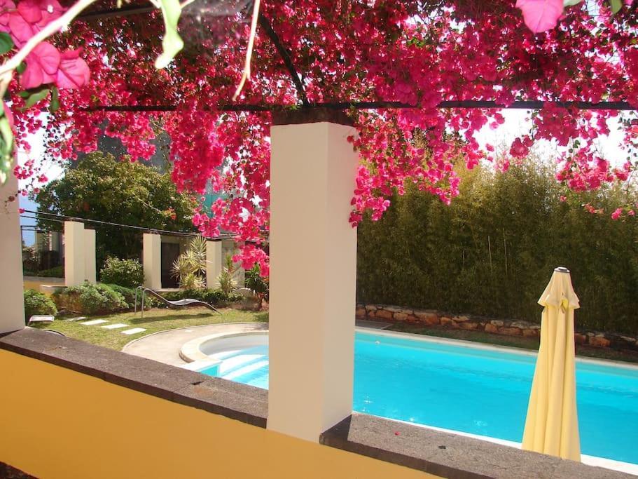 Private Pool Apt. With Great View ฟุงชาล ภายนอก รูปภาพ